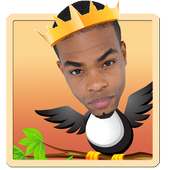 King Bachy Bird