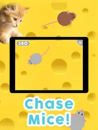 Games for Cats! - Cat Fishing Mouse Chase Cat Game Screen Shot 1