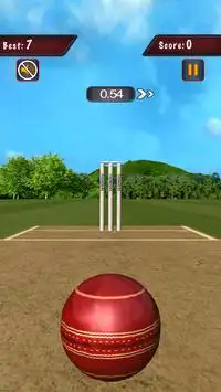 Flick Cricket 3D T20 World Cup Screen Shot 2