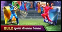 Smash Cricket Screen Shot 2