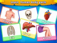 Basic Skill Learning Human Body Parts Screen Shot 3