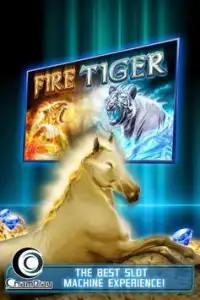 Fire Tiger Slots Screen Shot 1
