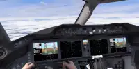 Flying Simulator 3D Screen Shot 6