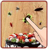 Fly Beetle Smasher, free game