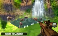 Animal Hunting Sniper Shooting Expert Screen Shot 6