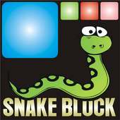 Snake Blocks Clash