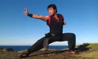 Learn Kung Fu Training 2020 Screen Shot 2