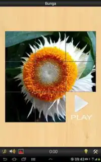 Best Flower game Screen Shot 1