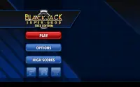 Blackjack SG Free Screen Shot 2