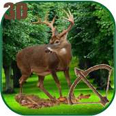 Deer Hunt Challenges : Archer