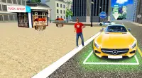 ကားတစ်စီးကားရပ်ရန်: ရီးရဲလ်ကားယာဉ်မောင်း Simulator Screen Shot 0