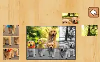 Animal Puzzle Anak-anak Screen Shot 0