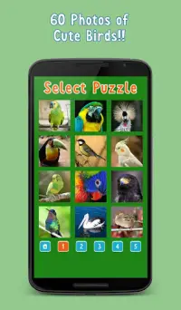 Gioco di puzzle: Uccelli Screen Shot 1