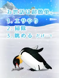 癒しのペンギン育成ゲーム Screen Shot 1