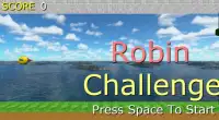 Robin Challenge Screen Shot 0