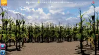 Walla Walla Corn Maze Year 5 Screen Shot 7
