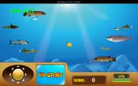 Dream Fish Screen Shot 1