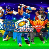 Cricket All Stars Screen Shot 4