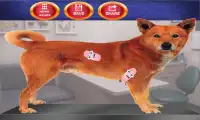 Kids Pets Doctor Screen Shot 2