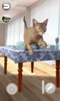 Говорящая абиссинская кошка Screen Shot 5