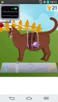 Cat Pregnancy Games Screen Shot 0