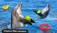 Dolphin Water Stunts Show Screen Shot 7