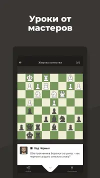 Шахматы · Играйте и учитесь Screen Shot 3