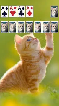 Solitaire Theme 🐱 Screen Shot 2