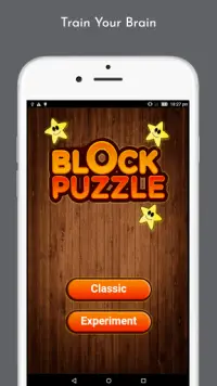 Block Puzzle 2021: Train Your Brain Screen Shot 0