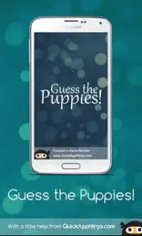 Guess the Puppies! Screen Shot 6