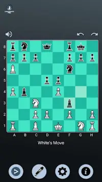 Chess Master Pro Screen Shot 5