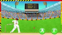 Cricket - Defend the Wicket Screen Shot 0
