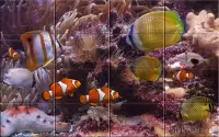 Sea world Puzzle Screen Shot 3