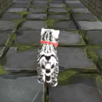 Cat Cat Maze 3D