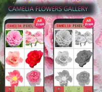 Camelia Color By Number-Flowers Pixel Art Screen Shot 1