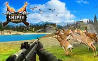 Forest Deer Sniper Hunting 2018 Screen Shot 3