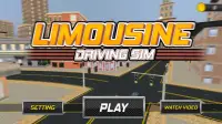 Limousine Driving Sim Screen Shot 0