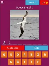 Birds Quiz - Learn All Birds! Screen Shot 4