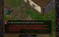 Baldur's Gate: Enhanced Edition Screen Shot 11