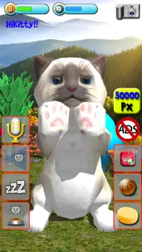Talking Kittens virtual cat that speaks, take care Screen Shot 0