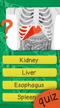 人体解剖学クイズゲーム Screen Shot 1