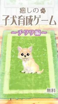 癒しの子犬育成ゲーム〜チワワ編〜 Screen Shot 0