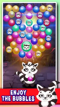 Raccoon Boom – Bubble Shooter Pop !! Screen Shot 1