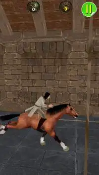 Dungeon Assassin Horse Run 3D Screen Shot 4