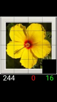 Sliding Puzzles Screen Shot 3