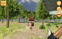 Archery King 3D Screen Shot 13
