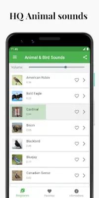 Bird and Animal sounds Screen Shot 0