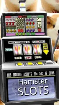 3D Hamster Slots - Free Screen Shot 2