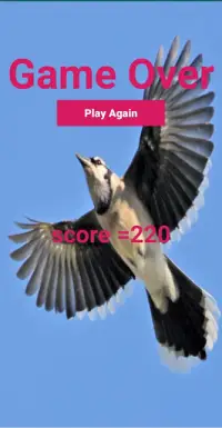 Blue Jay Flying Screen Shot 5