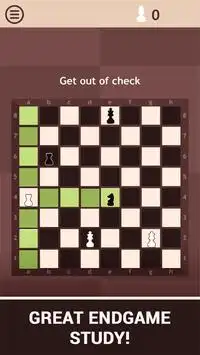 Chess Learn 2: Endgame Study Screen Shot 1